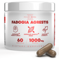 Fadogia Agrestis Supplement 1000mg Per Serving