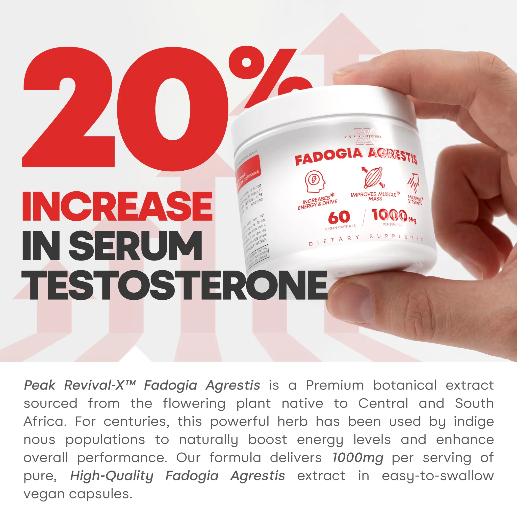 20% Increase In Serum Testosterone - Premium Botanical Extract