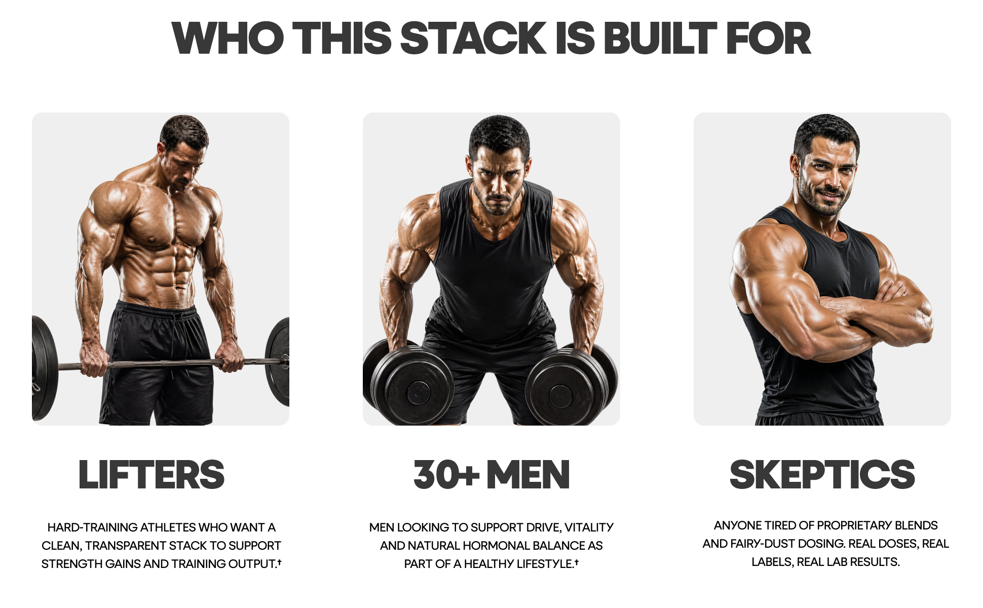 Muscle Stack - A+ Content 5