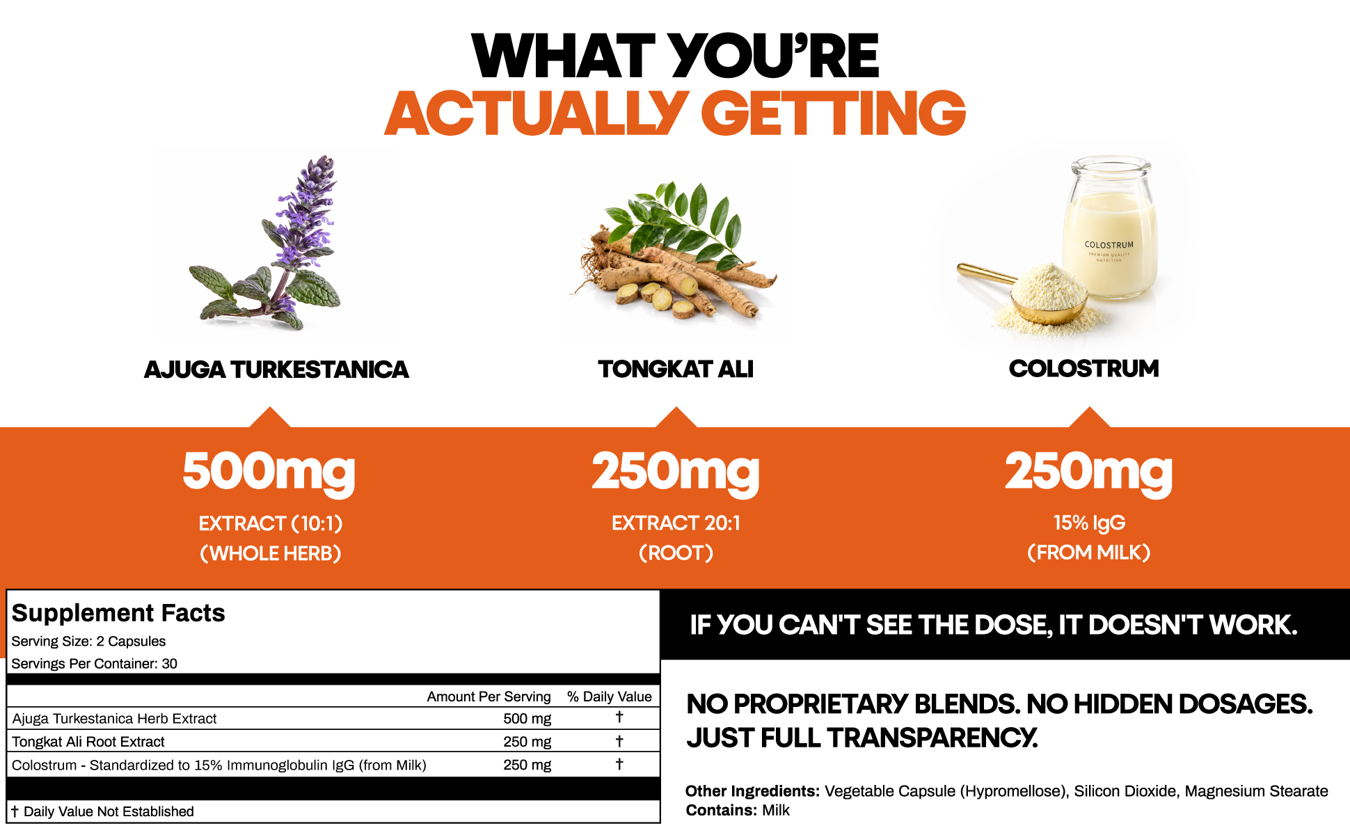 Turkesterone & Tongkat Ali - A+ Content 2